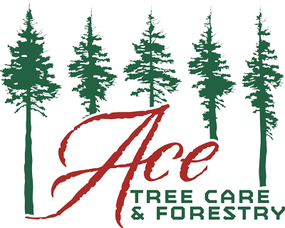 Ace Tree Care and Forestry