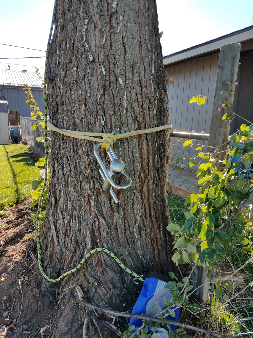 WHERE SHOULD FRICTION BE IN OUR ROPE RIGGING SYSTEMS?, TreeBuzz