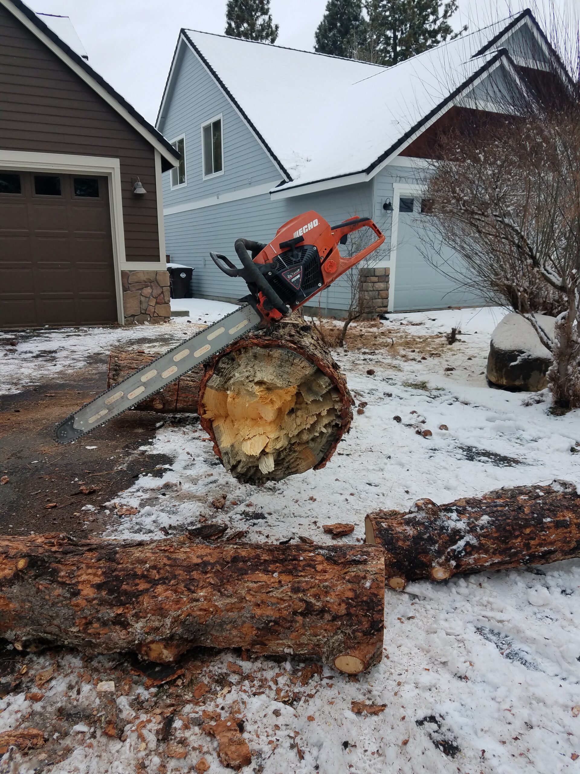 How much is my tree service going to cost?