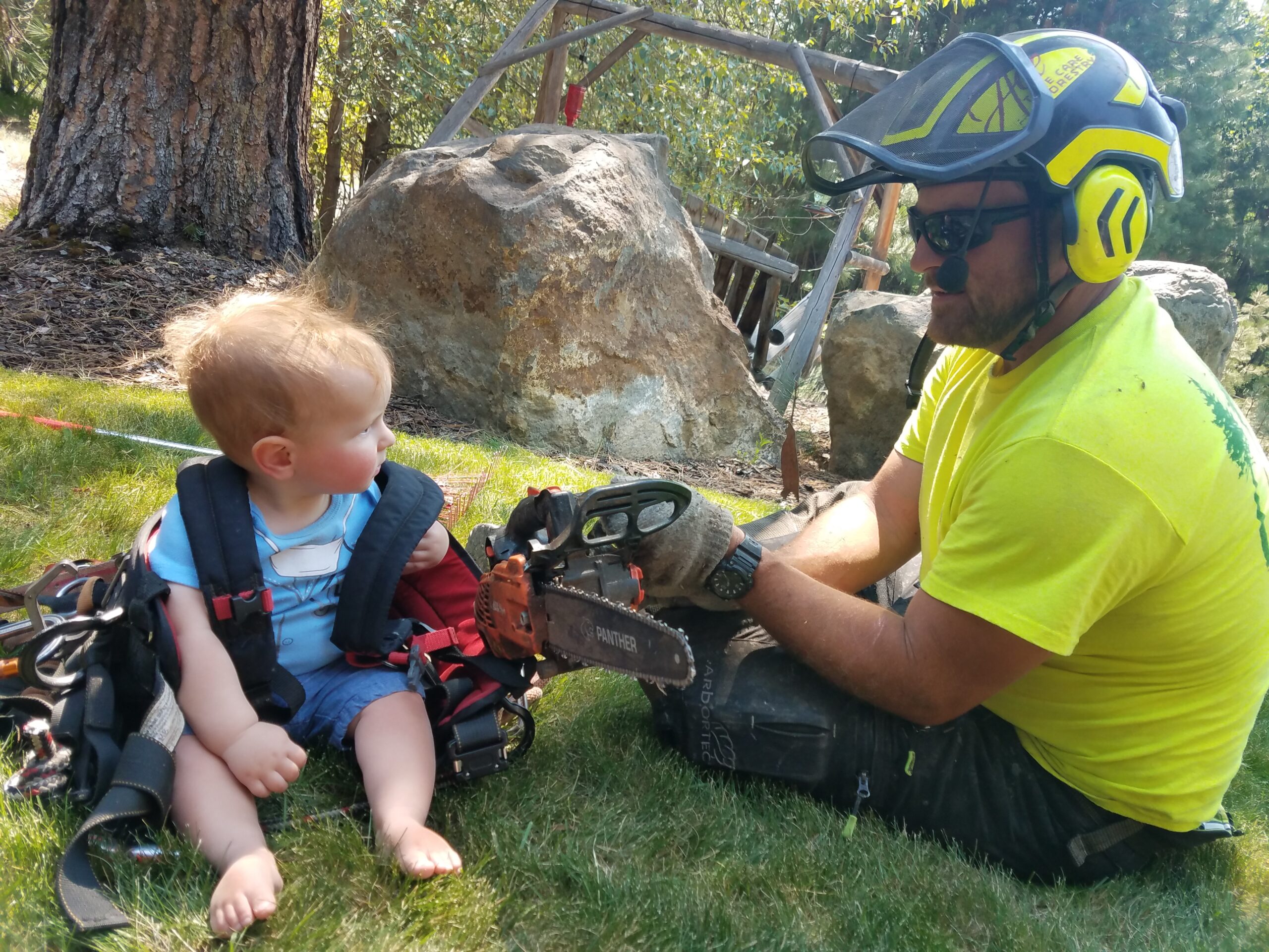 A Day In The Life: Climbing Arborist